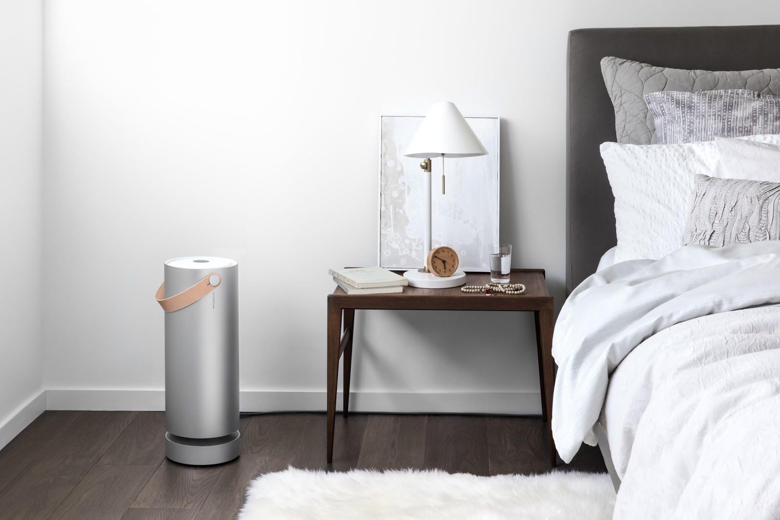 Air Purifiers and Odor Reduction: A Molekule Review